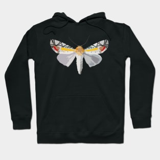 Picasso Moth Digital Painting Hoodie